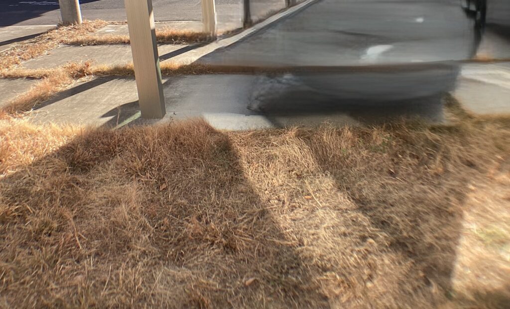 【足利市リフォーム】素敵なお庭に変身！芝・植栽伐防草シート・砂利敷・アプローチ土間コンクリート工事